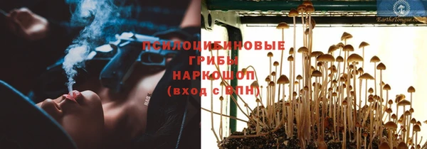 синтетический гашиш Богородск