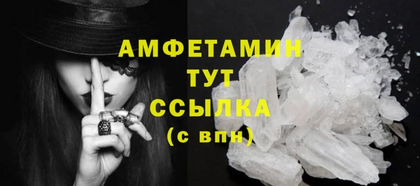 спиды Богданович