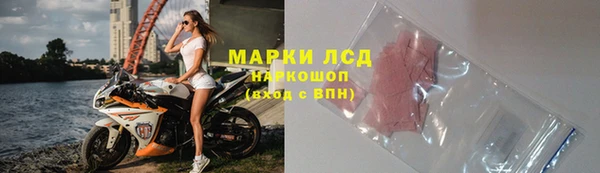 спиды Богданович