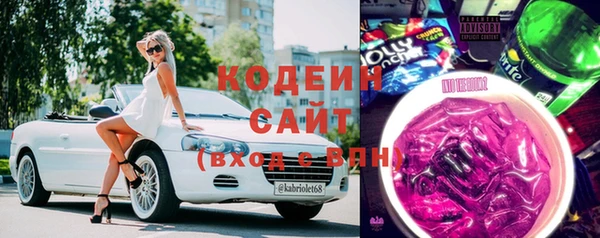 спиды Богданович