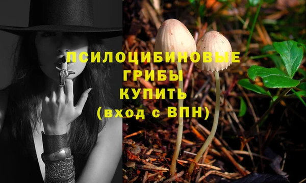 спиды Богданович