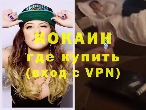 спиды Богданович