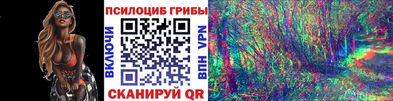 Галлюциногенные грибы Psilocybine cubensis  ОМГ ОМГ рабочий сайт  Нижний Новгород 
